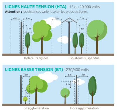 Elagage : règlementation (2/2)